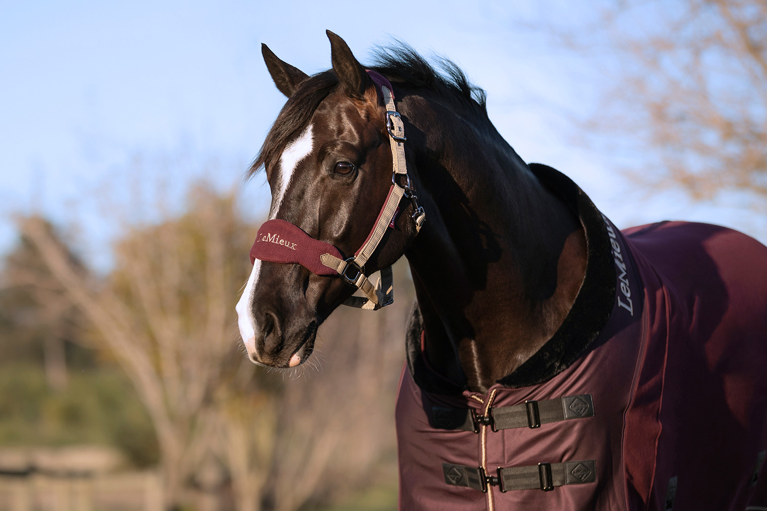 LeMieux Fleece Rug RIOJA