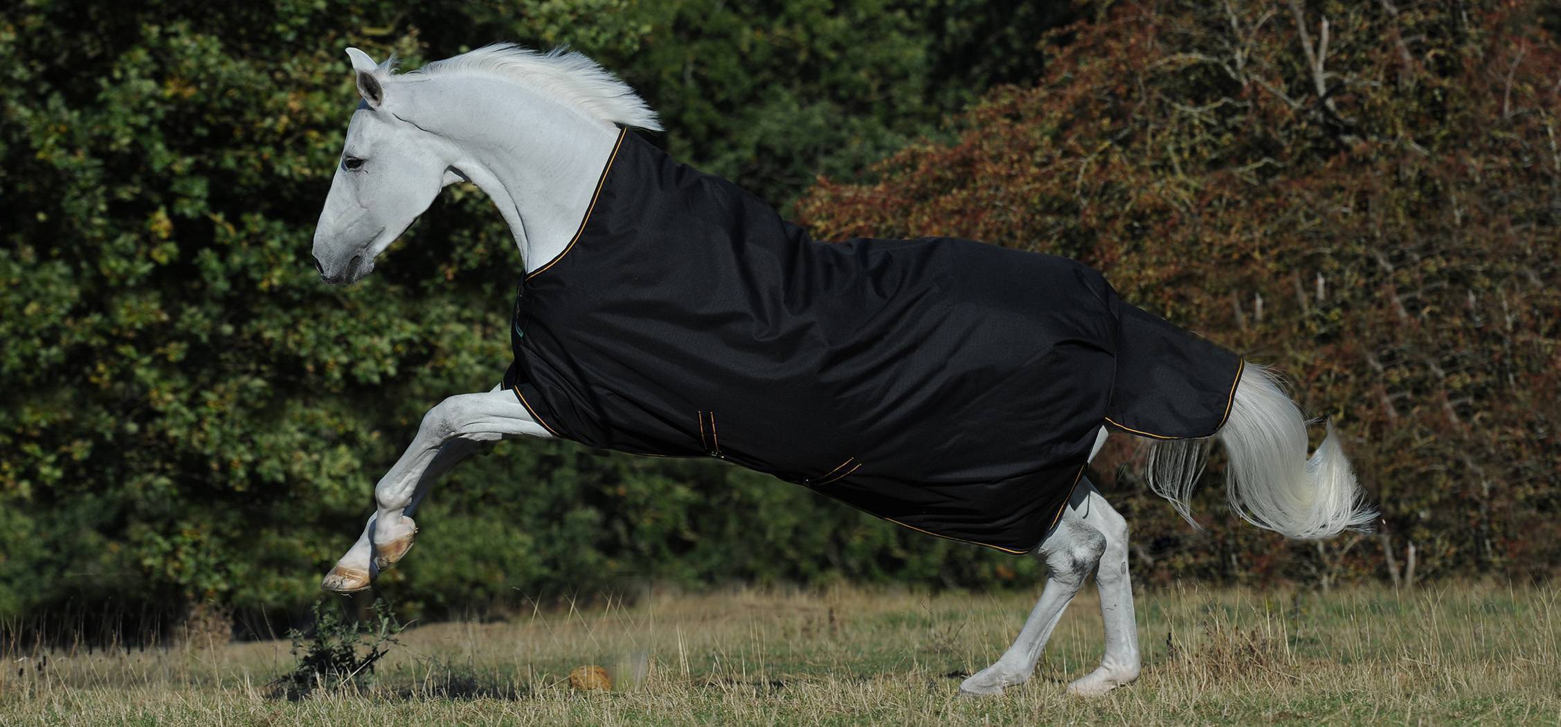 Bucas IRISH TURONOUT LIGHT 50 High Neck - black & gold