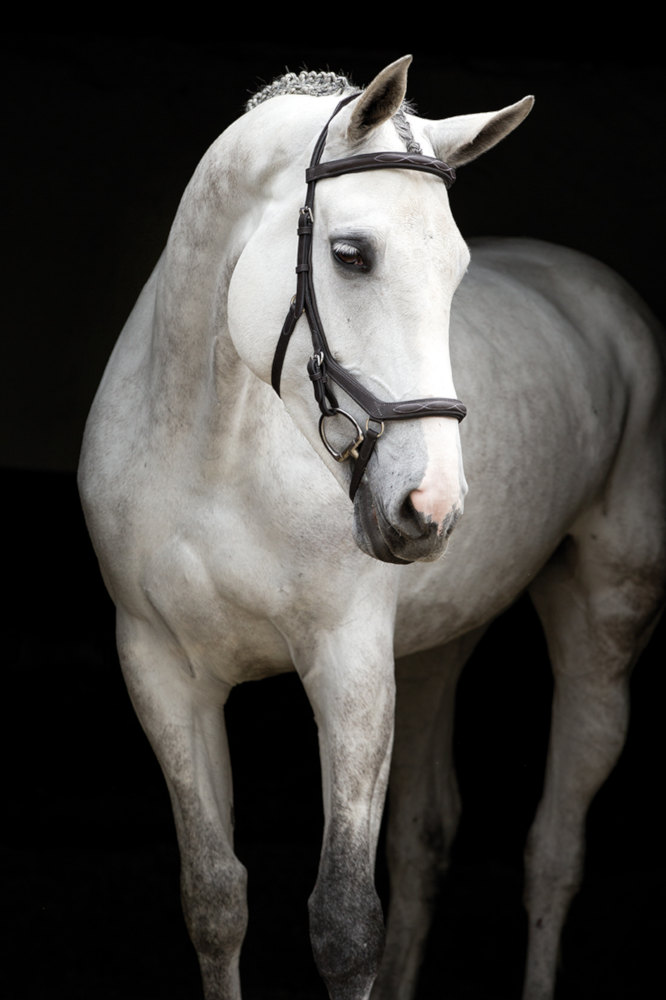 Horseware RAMBO Micklem Deluxe Competition Bridle (Black)