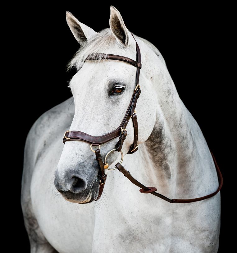 Horseware RAMBO Micklem Multibridle (Brown)