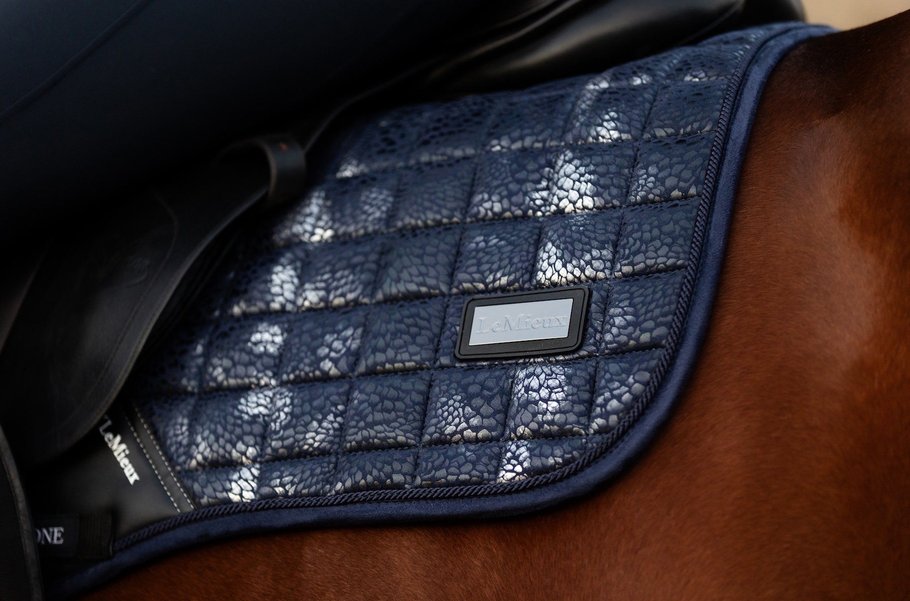 LMX ADOUR Euro Dressage Square NAVY