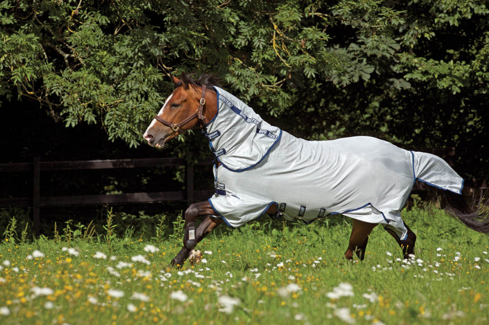 AMIGO Bug Buster Vamoose (Silver & Navy)