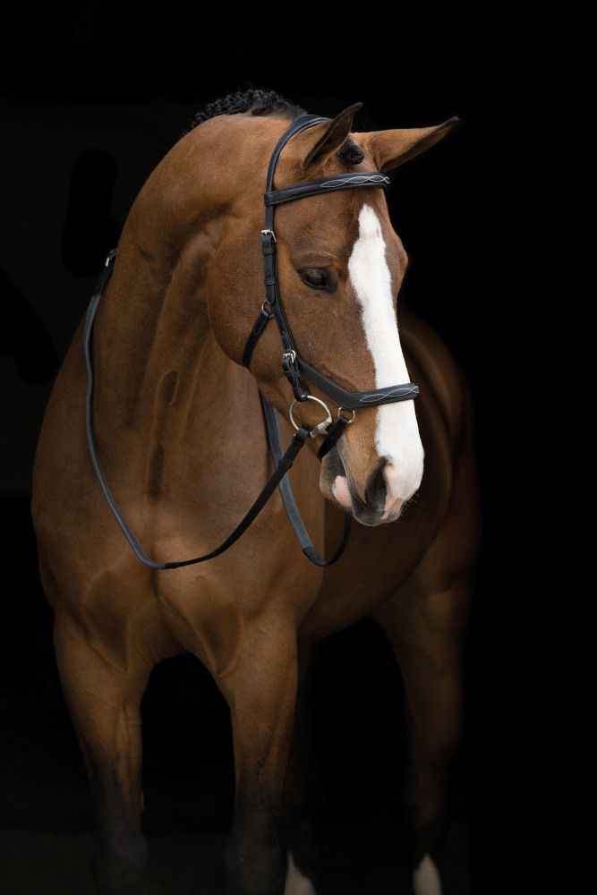 Horseware RAMBO Micklem Deluxe Competition Bridle (Dark Havanna)