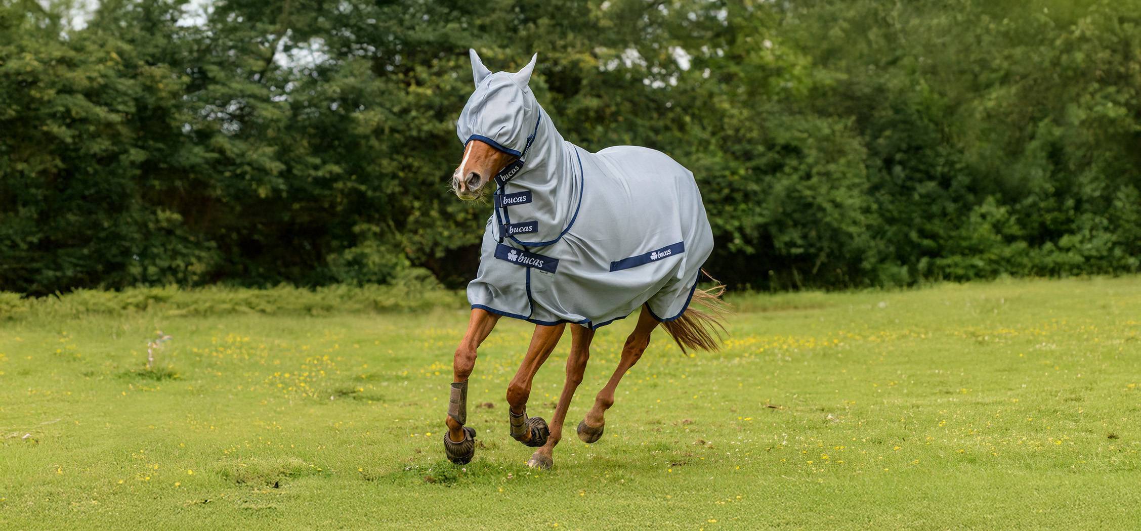 Bucas BUZZ-OFF Fly Mask - blue