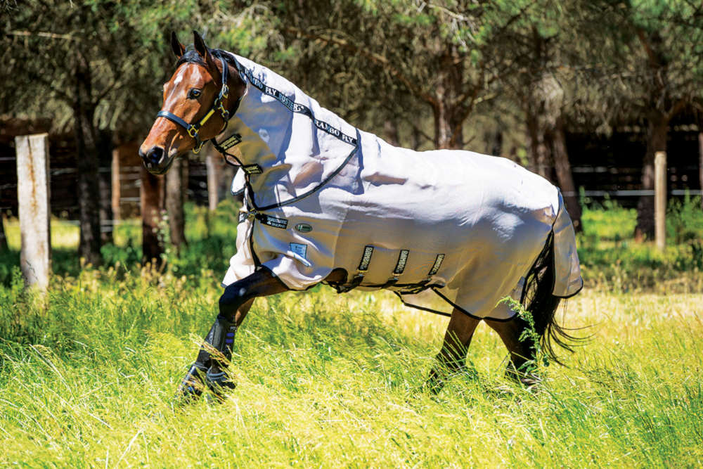 RAMBO FlyBuster Vamoose (Oatmeal & Black)