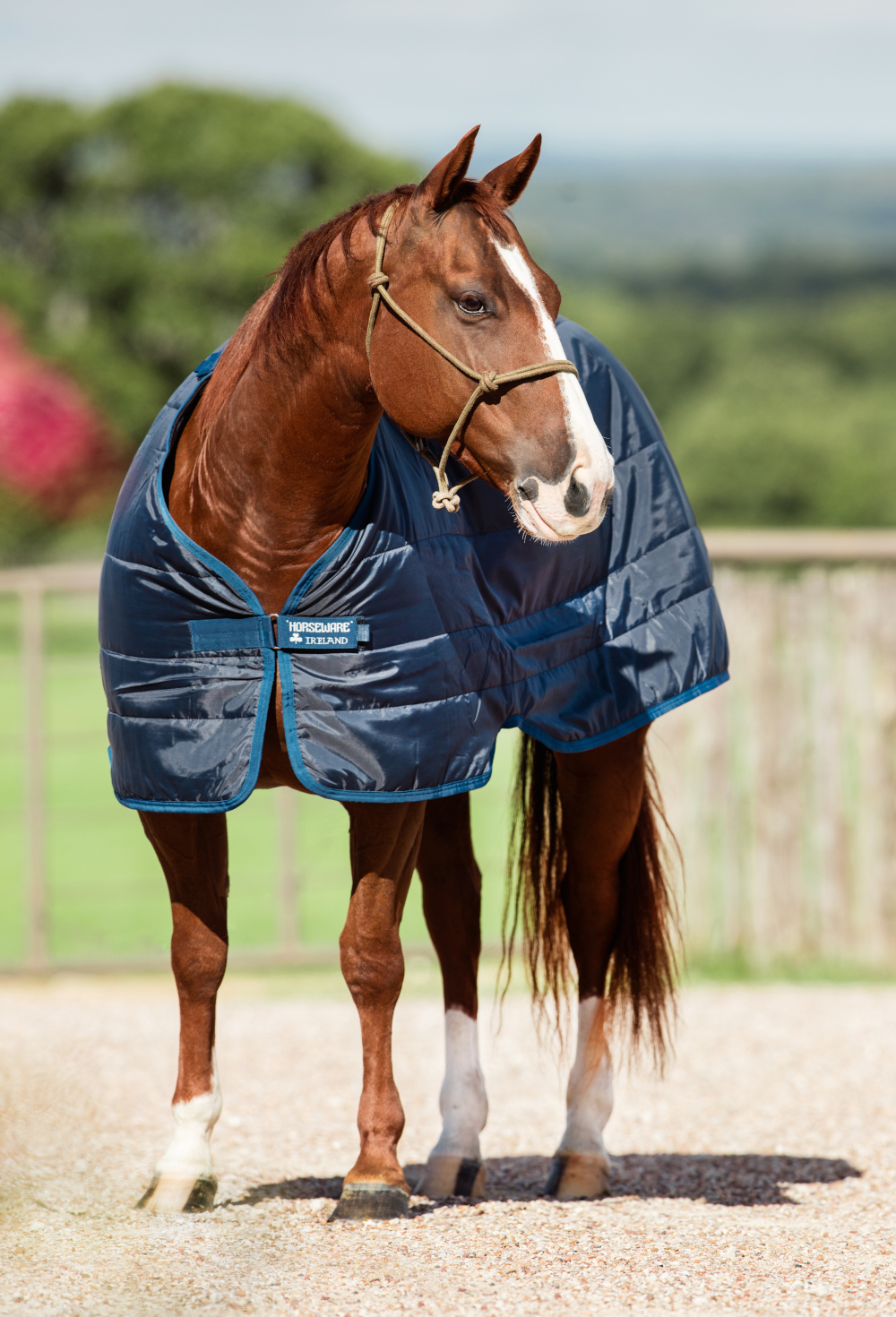 Horseware Liner 200g