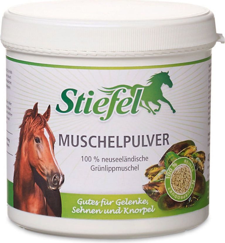 Stiefel Muschel-Pulver, gemahlen