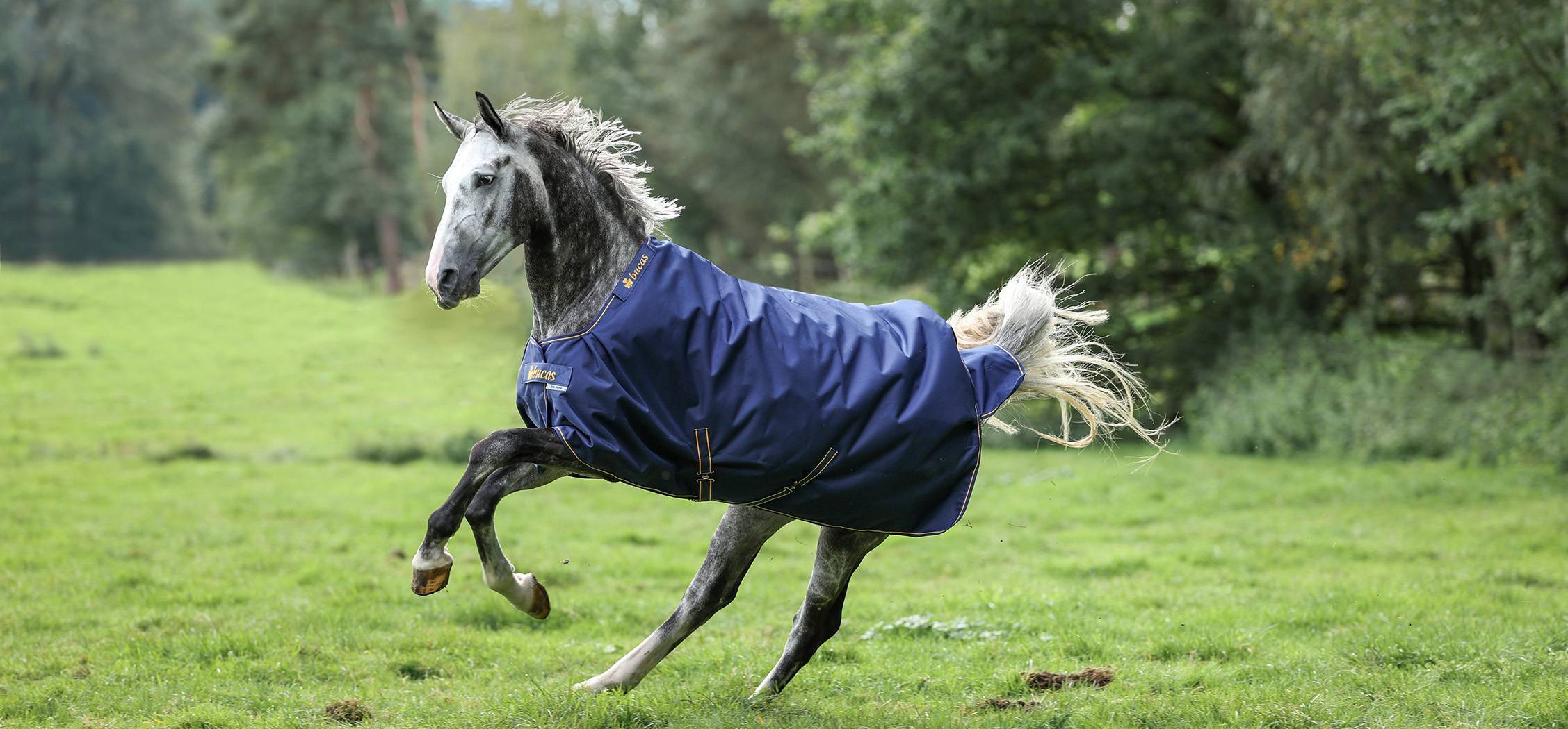 Bucas IRISH TURONOUT LIGHT 50 - navy & gold