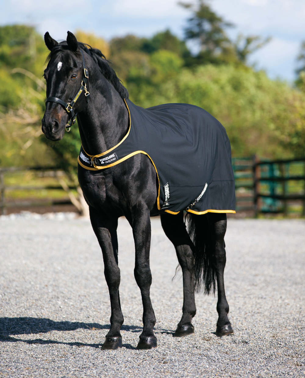 Horseware RAMBO Softshell Walker Rug