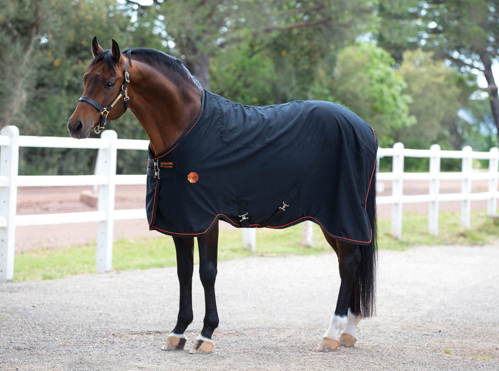 Horseware RAMBO IONIC Stable Sheet