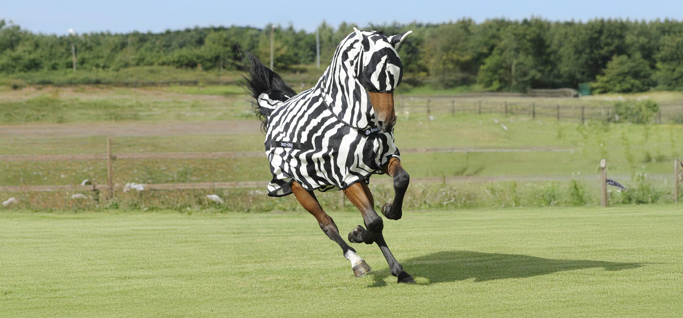 Bucas BUZZ-OFF ZEBRA Fly Mask