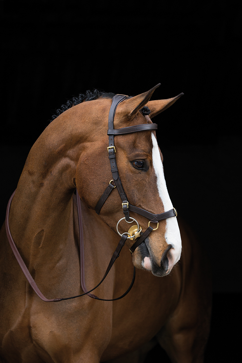Horseware RAMBO Micklem Multibridle (Brown)
