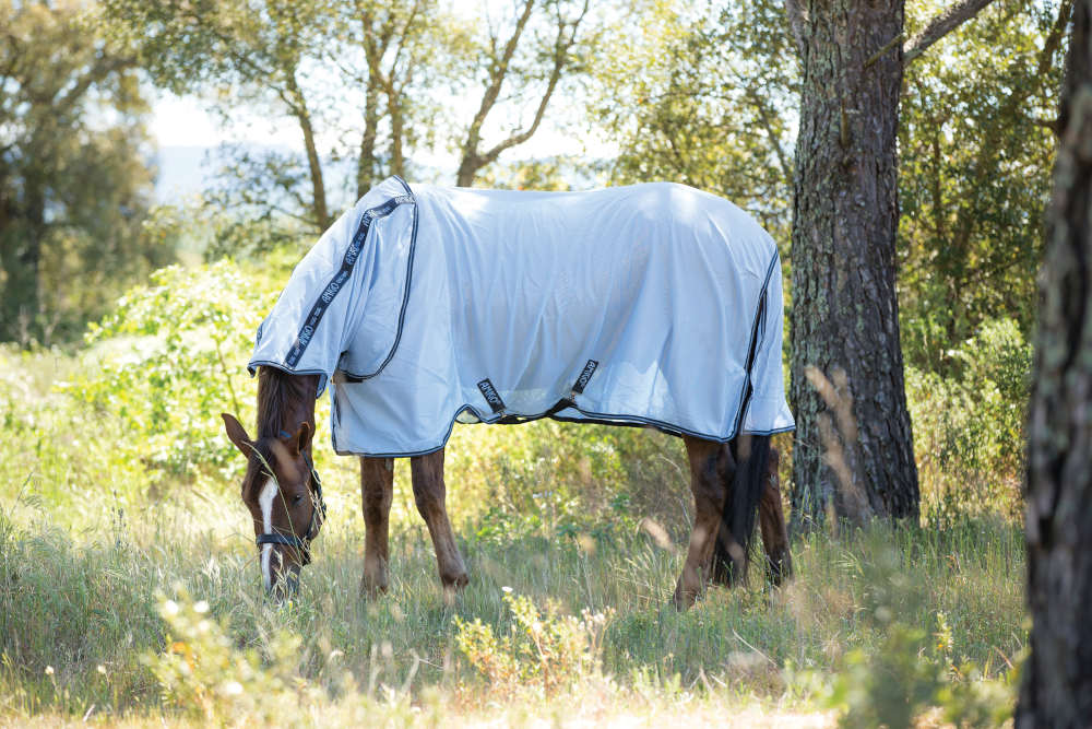 AMIGO Bug Rug (Silver & Navy)