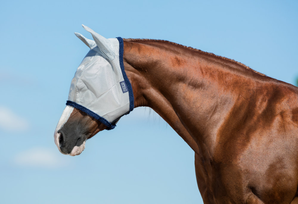 Horseware AMIGO FlyMask (Navy & Silver)