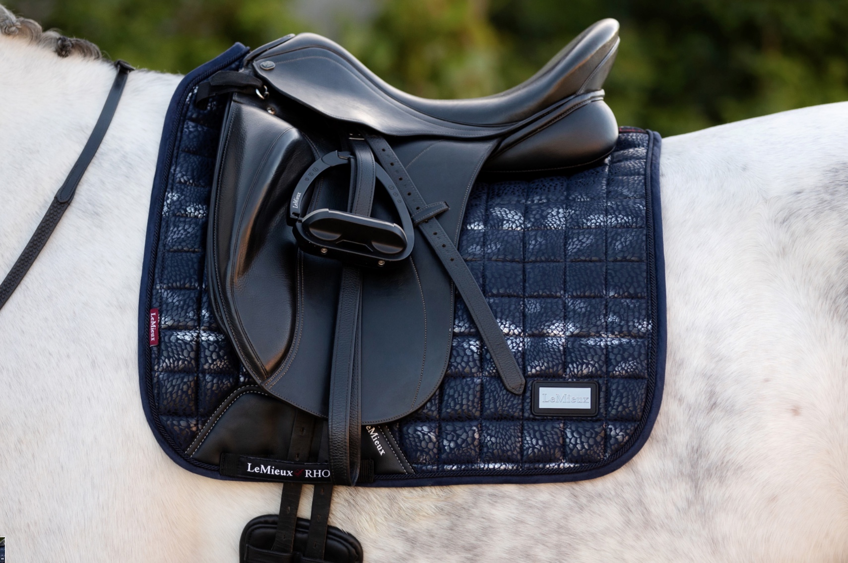 LMX ADOUR Euro Dressage Square NAVY