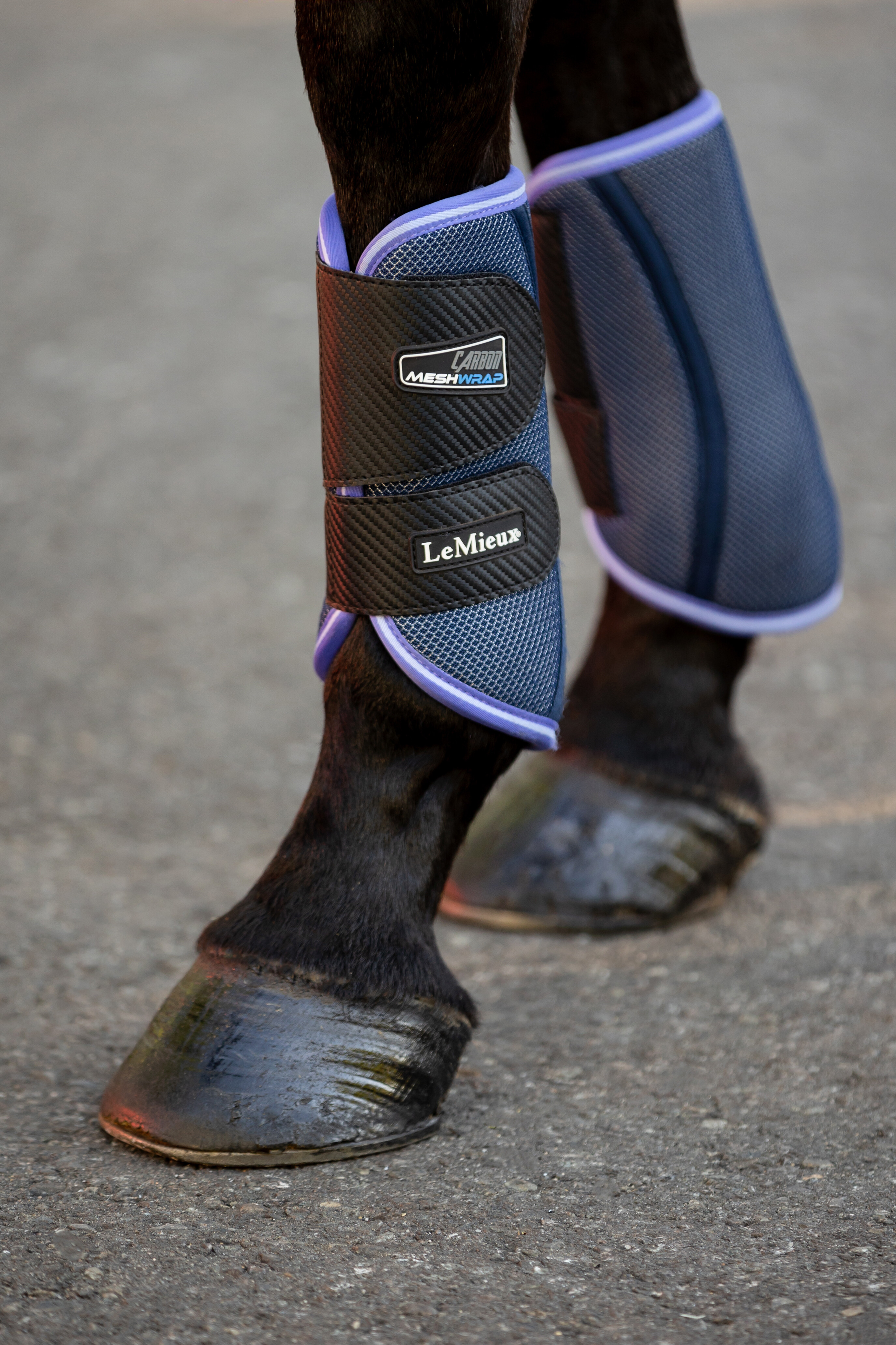 LMX Carbon Mesh Wrap Boots NAVY / BLUEBELL