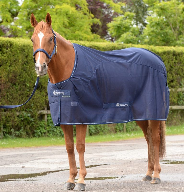 Bucas COMPETITION COOLER - navy