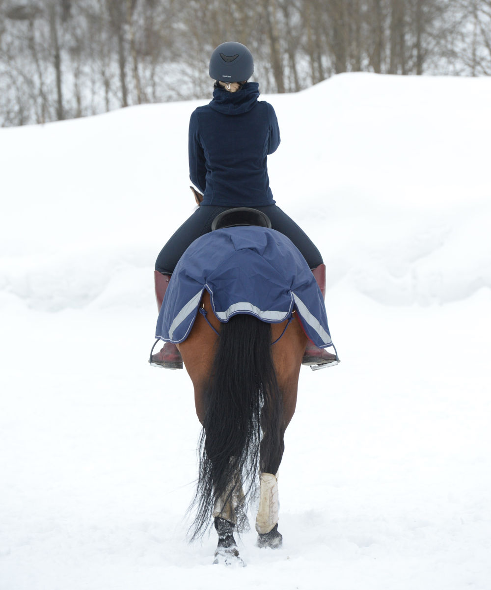 Bucas RIDING RUG - navy & silver