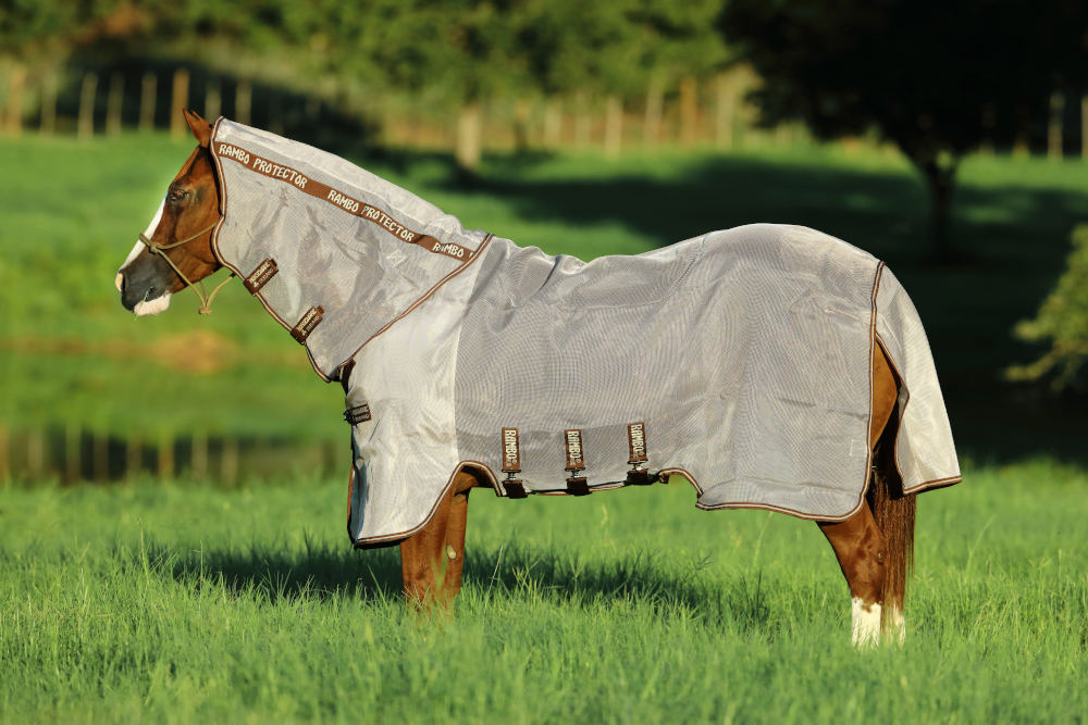 RAMBO Protector (Oatmeal & Brown)