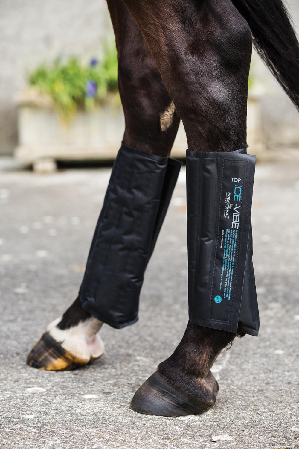 Horseware ICE-VIBE Kühlpacks