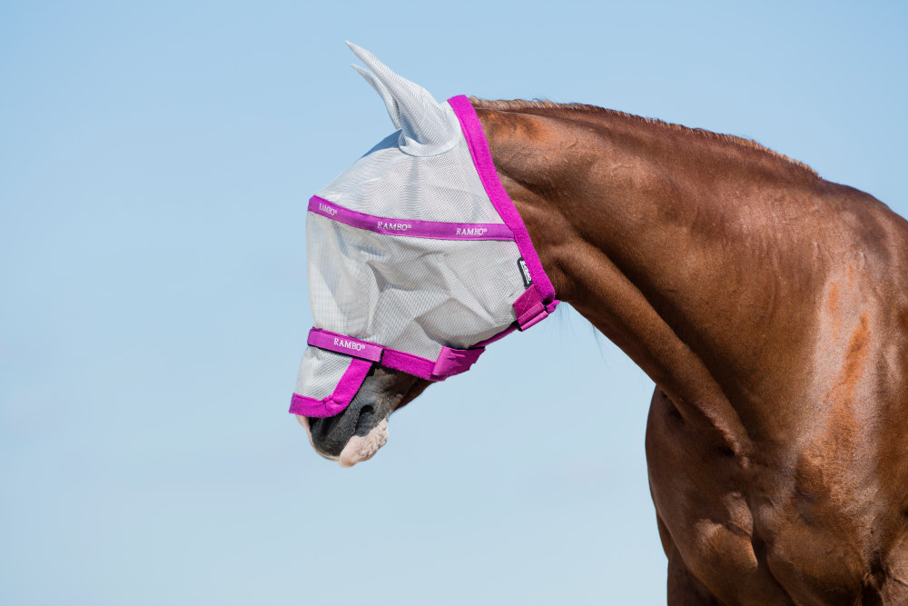 Horseware RAMBO Flymask Plus Vamoose (Silver & Pink)