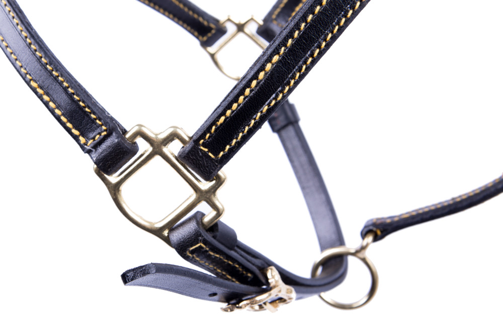 HERMANOS GOMEZ Lederhalfter - Schwarz