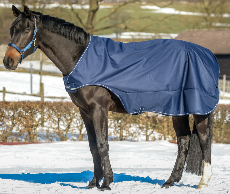 Bucas WALKER - navy & silver