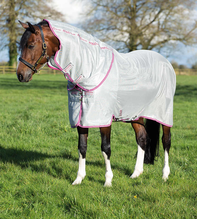 AMIGO Bug Rug (Silver / Purple & Mint)